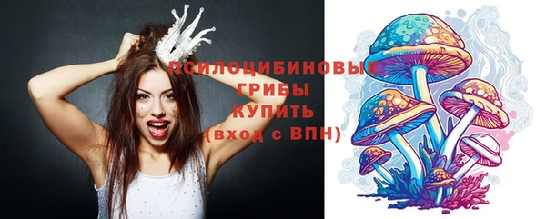 сатива Приозерск