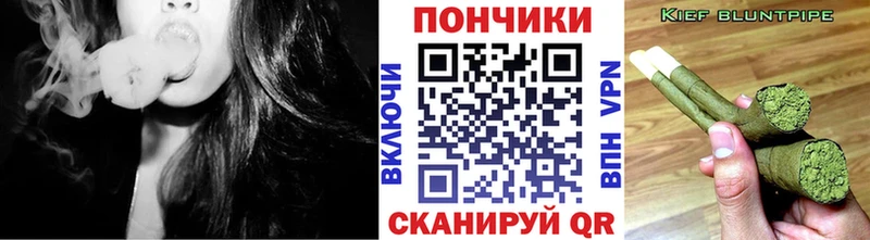 закладка  Кинешма  Конопля гибрид 